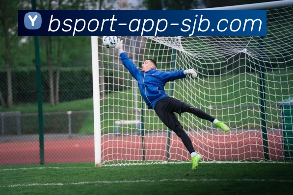 B体育应用，B体育应用，B体育官网，B体育客户端下载，B体育APPAPP 体育赛事宣传图